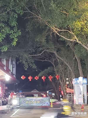 【金蛇转好运】+街头年味浓