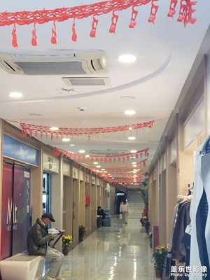 【金蛇转好运】+新年街头即景