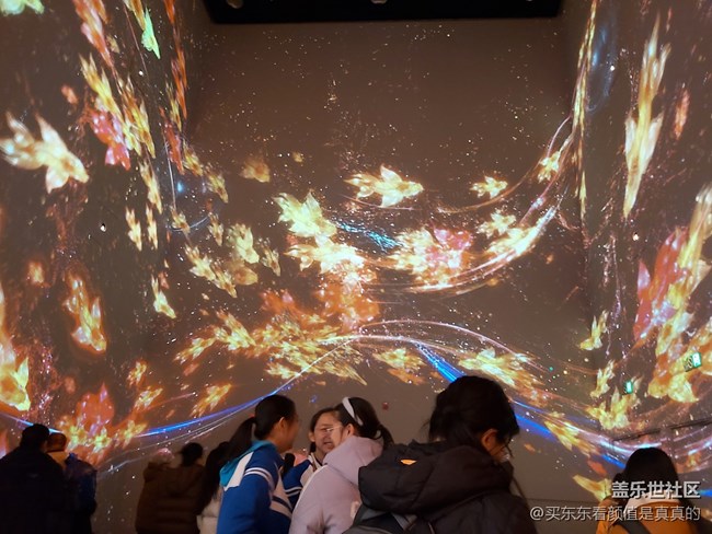 【冬日下的年味】看展览的人啊