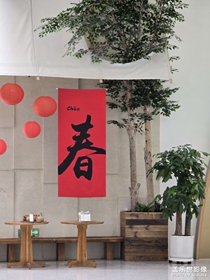 【金蛇转好运】+年味渐浓