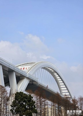 浦江两岸风光