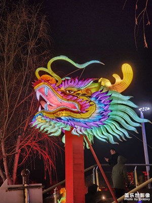 【金蛇转好运】秦淮灯会（三）