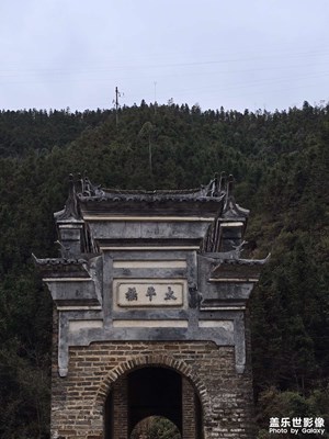 金蛇转好运+万事如意