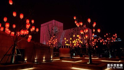 【灯影情长】+元宵节滴水湖看烟花秀