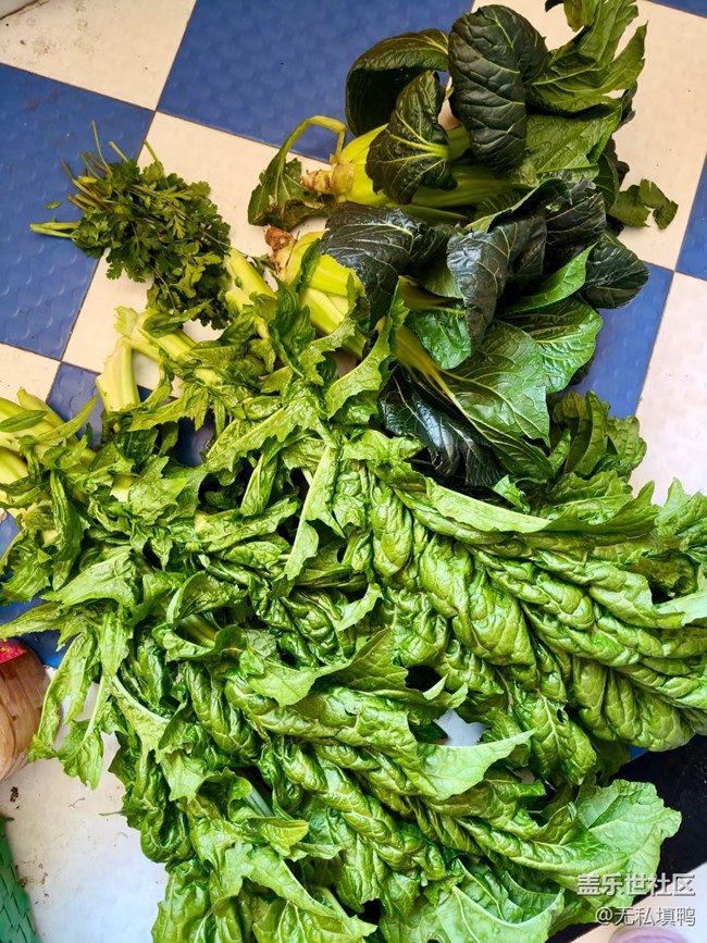【乐享食光】芥菜饭