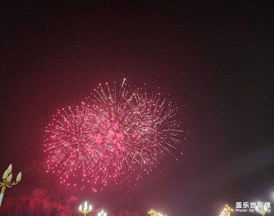 【金蛇转好运】元宵的焰火（三）