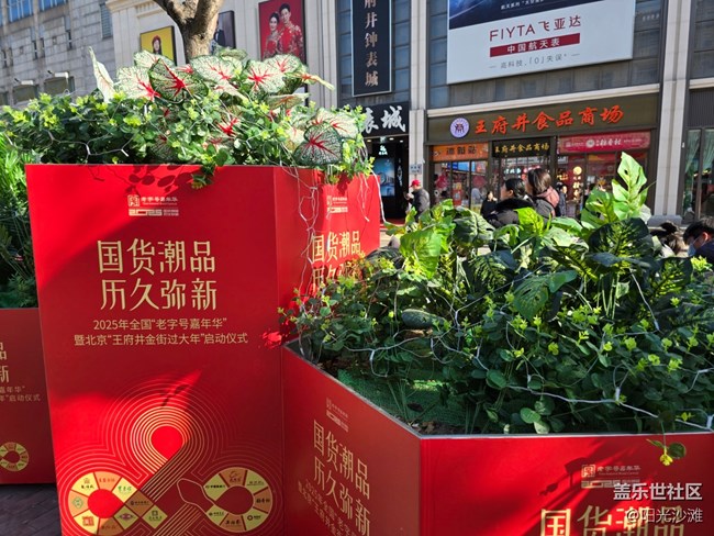 【年味】新年到喜洋洋