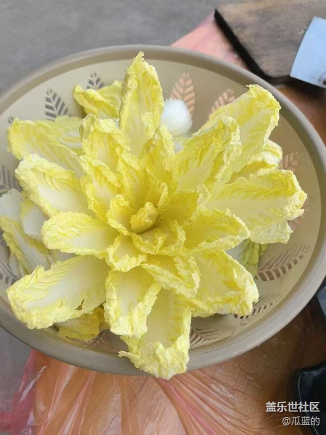 【乐享食光】野炊
