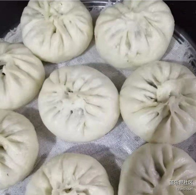 【乐享食光】蒸包子