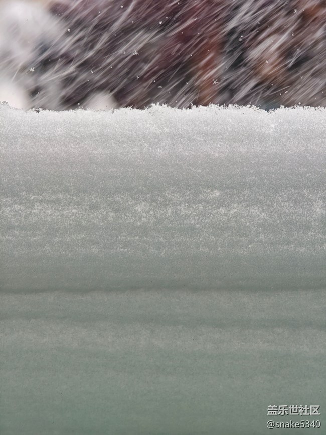 【相册里的年味】+下大……大雪啦