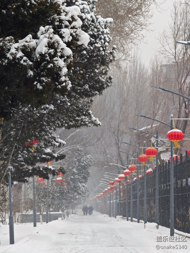 【相册里的年味】+下大……大雪啦