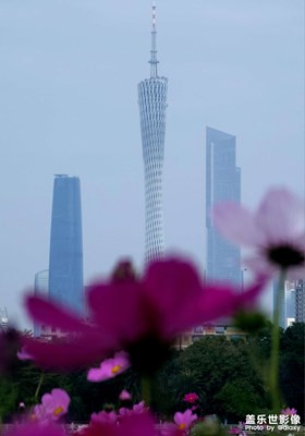 【早春映像】花城春早