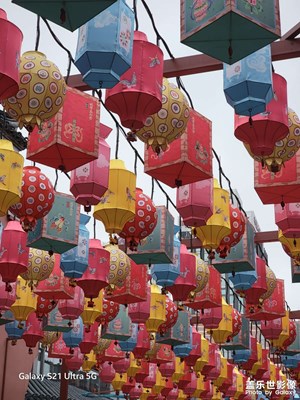 【灯影情长】庙会上的花灯们