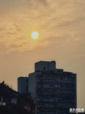 【早春映像】春阳
