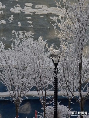 【早春映像】+乌鲁木齐还是冰天雪地