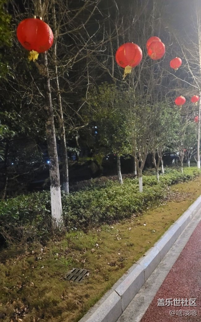【Note手机里的初春】春天散步
