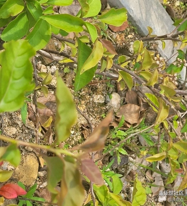 【Note手机里的初春】走走看看