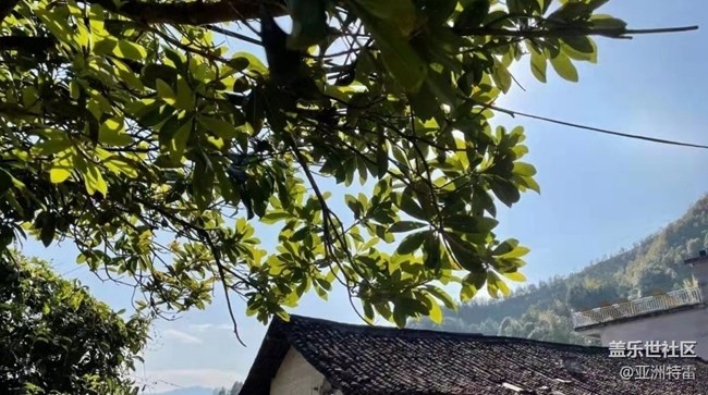 【Note手机里的初春】春天随拍