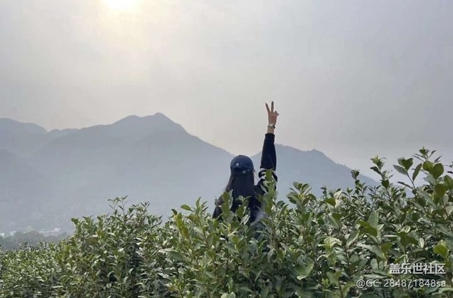 【Note手机里的初春】春日打卡茶园