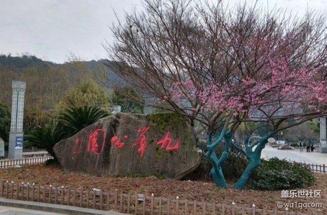 【Note手机里的初春】春光无限好