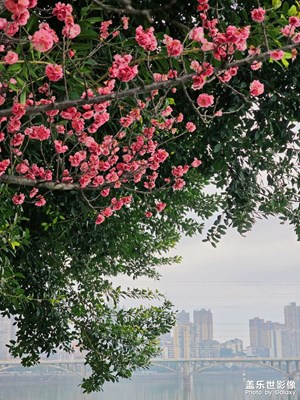 【早春映像】漫步城里河边