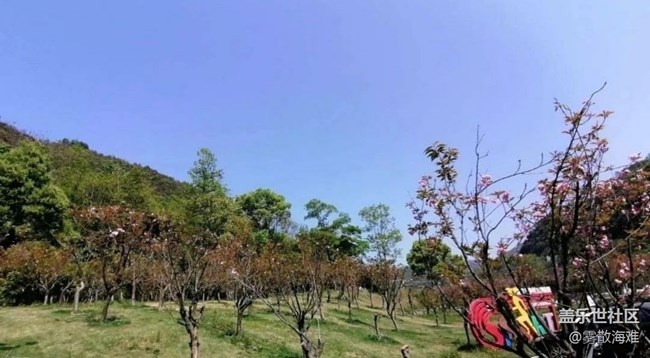 【Note手机里的初春】春光灿烂