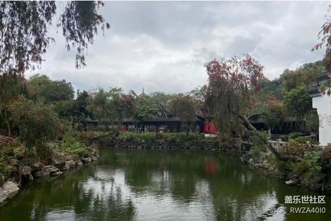 【Note手机里的初春】万物复苏