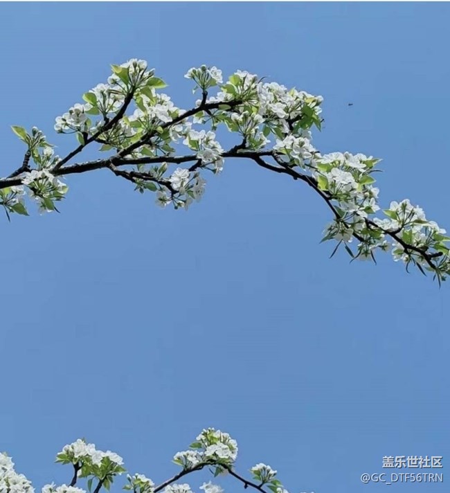 【Note手机里的初春】家乡春季