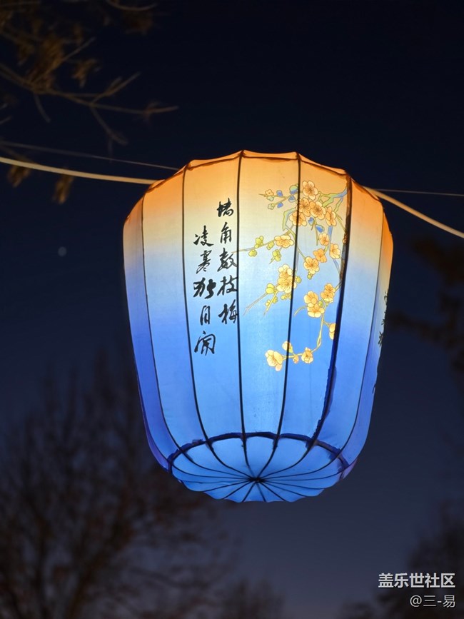 【相册里的年味】+逛灯会