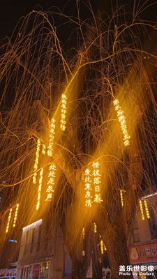 夜景