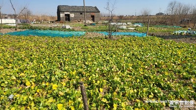 【早春映像】+亲近大自然