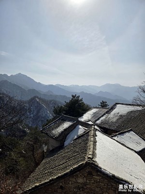 【早春映像】+春日暖阳