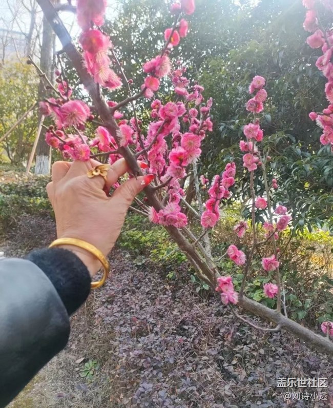 【Note手机里的初春】春季感悟