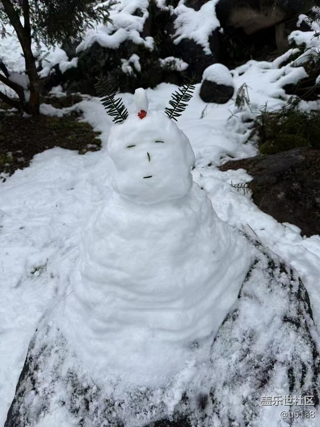 【Note手机里的初春】春雪