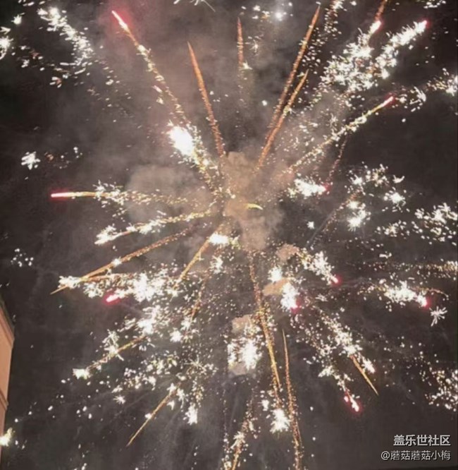 【记录我的春节】巳巳如意中国年