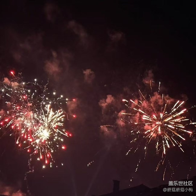 【记录我的春节】巳巳如意中国年
