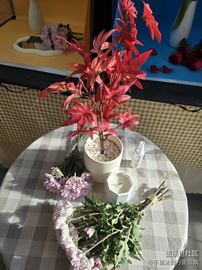 【幸福时光】美丽的花儿