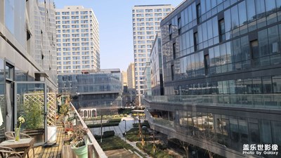 【早春印象】春光明媚