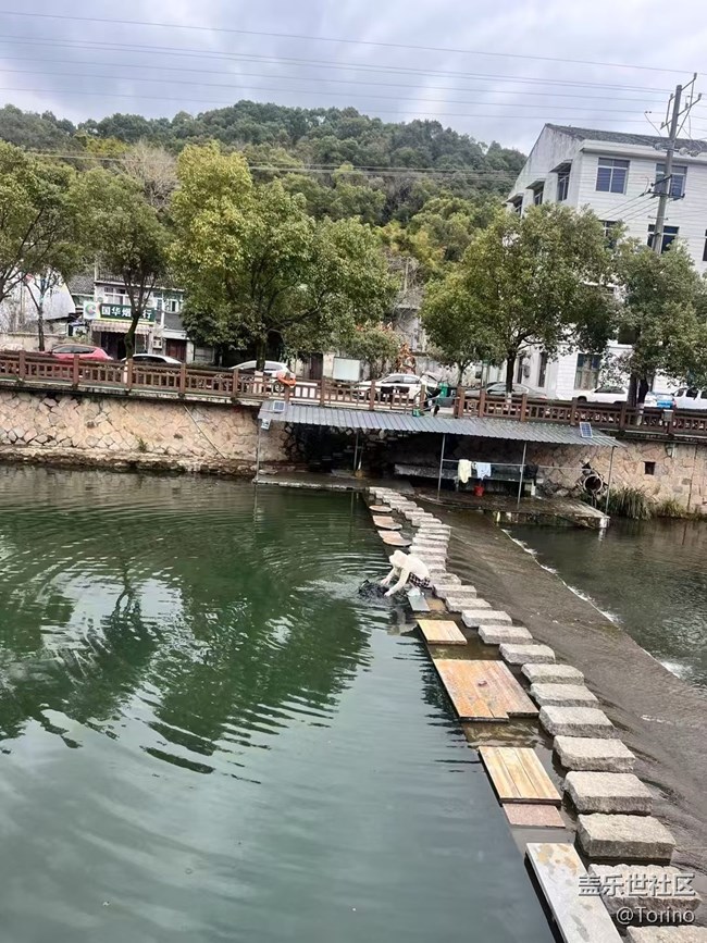 【Note手机里的初春】初春景色