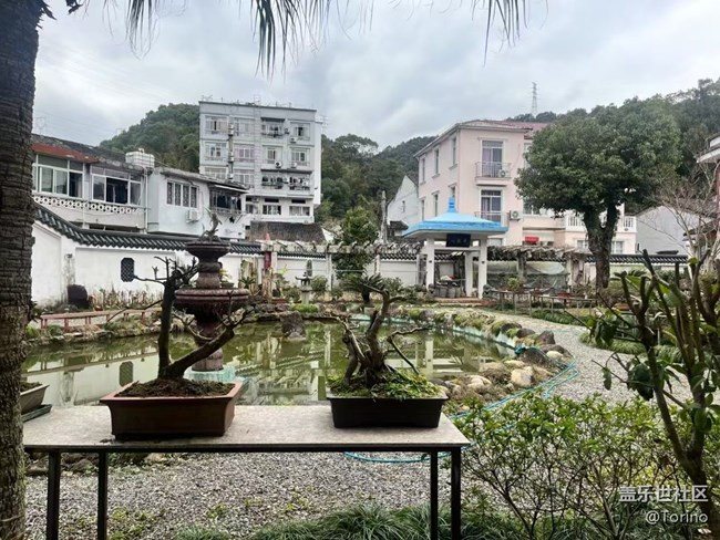 【Note手机里的初春】初春景色