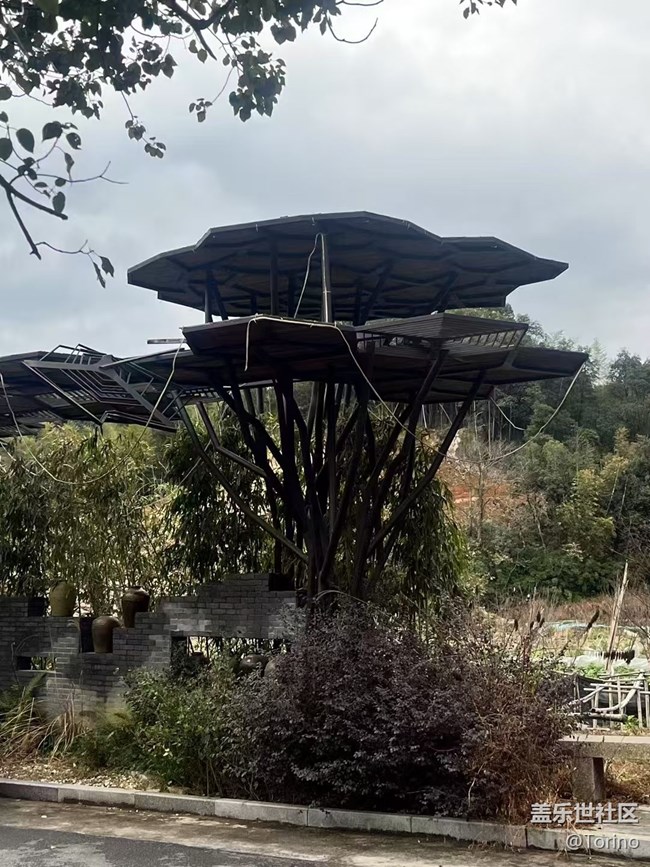 【Note手机里的初春】初春景色