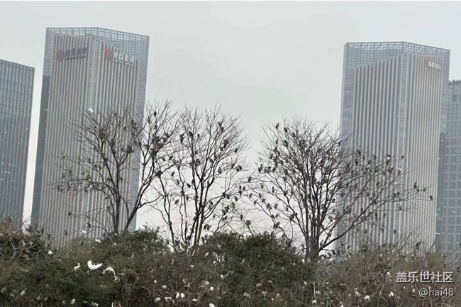 【Galaxy影像】#寻年味+春雨
