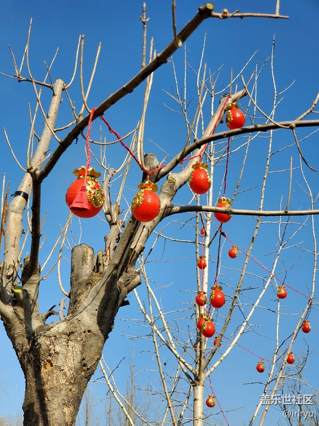 【相册里的年味】+春节里的装饰
