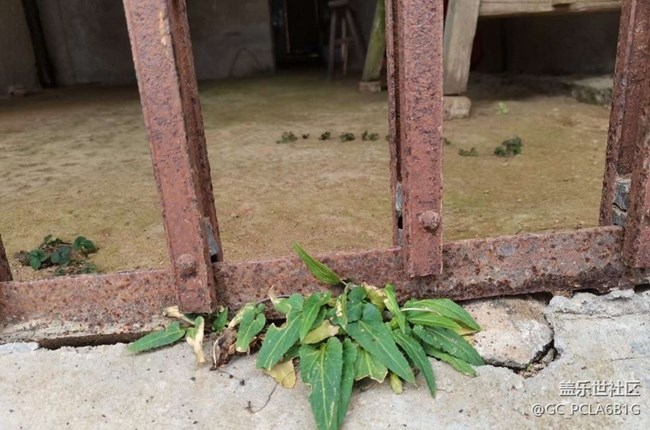 【寻城记】老家