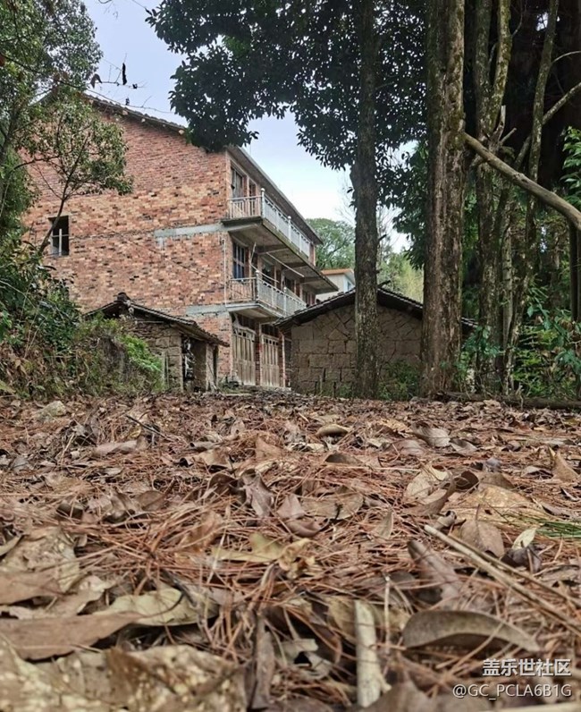 【寻城记】老家