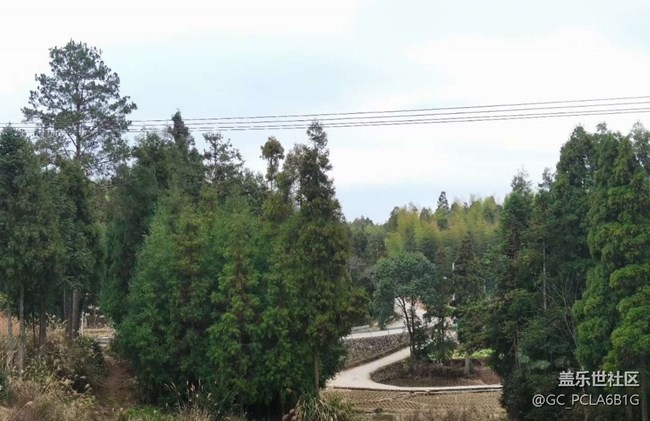 【寻城记】老家