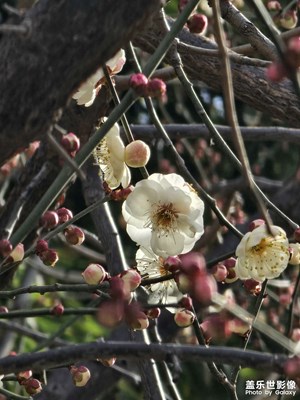 春暖花开
