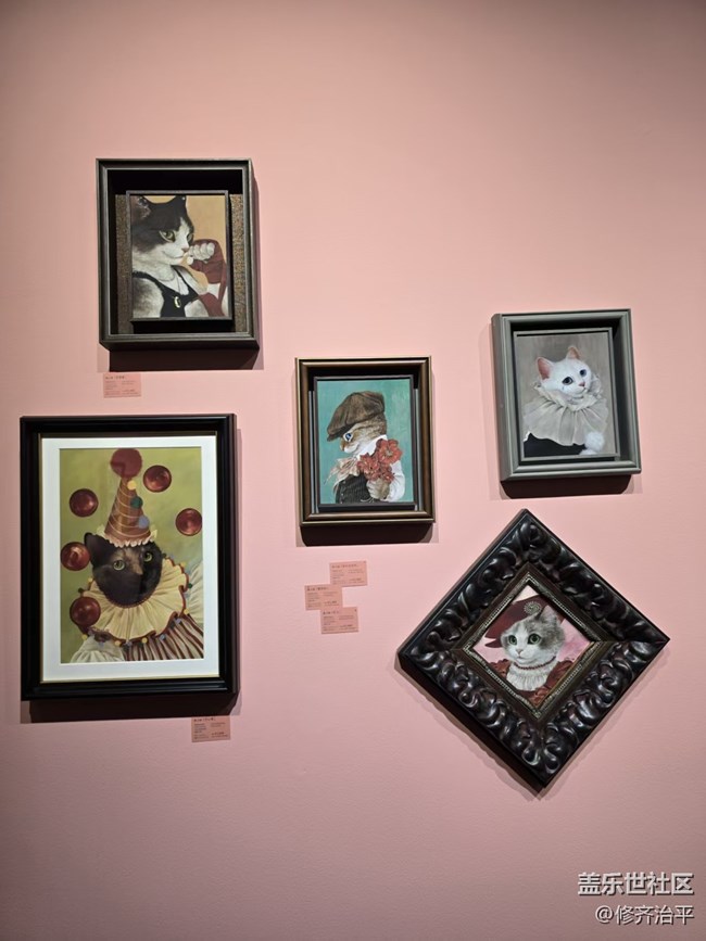 【幸福时光】关于喵星人的艺术