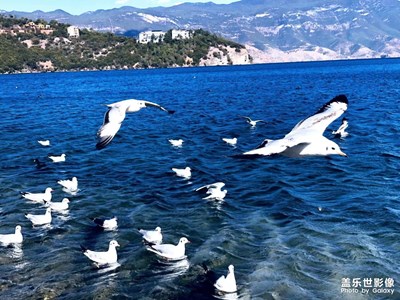 泸沽湖