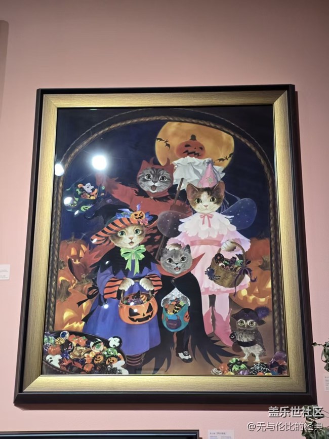 【幸福时光】撸猫日记画展